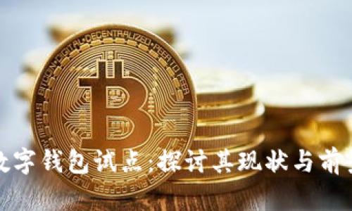数字钱包试点：探讨其现状与前景